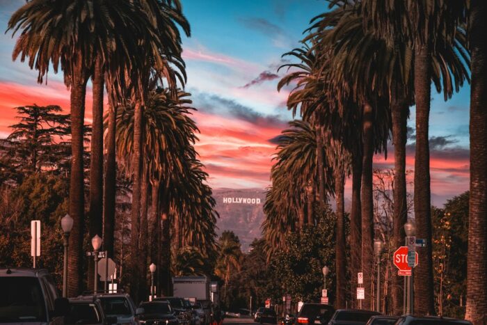 Palm trees at sunset